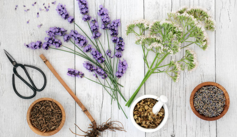 Plantele care te pot scăpa de insomnie. Metode naturale de tratament